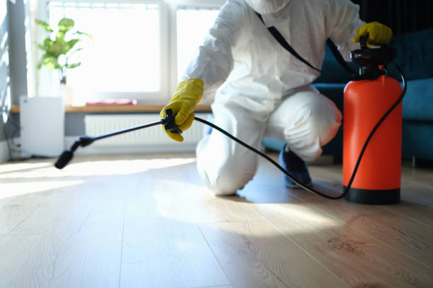 Reliable Odor Removal contractor in Fowler, MI by Trauma Clean Pros